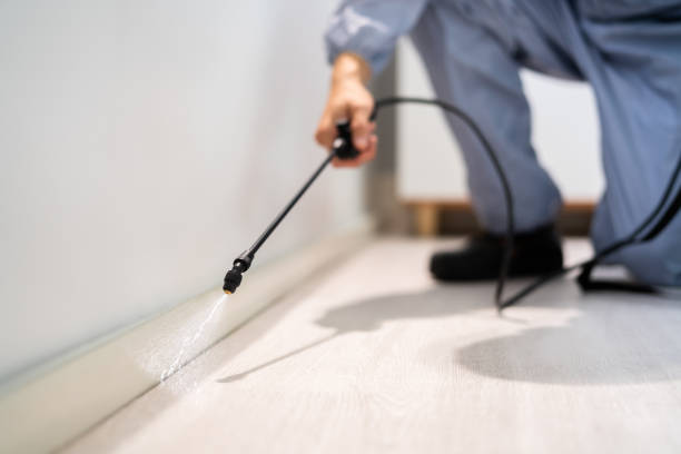 Rodent Entry Point Assessment in Little Elm