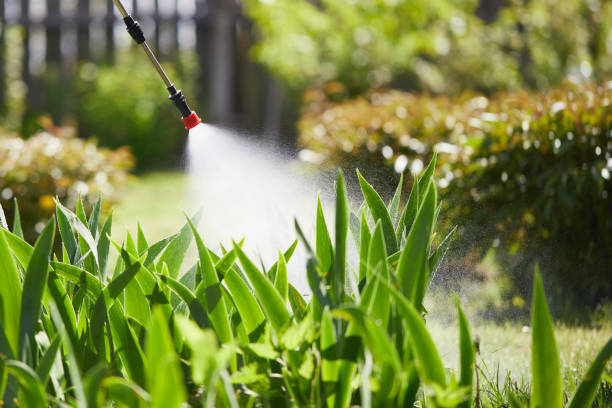 Tamper-Resistant Bait Stations for Rodents in Little Elm