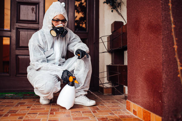 Attic and Crawl Space Rodent Treatment in Little Elm